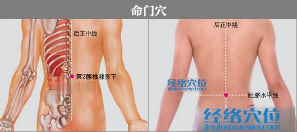命門(mén)穴的準(zhǔn)確位置圖