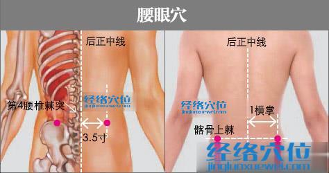 腰眼穴的準(zhǔn)確位置圖