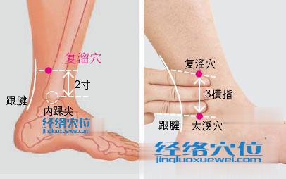 復(fù)溜穴位位置圖
