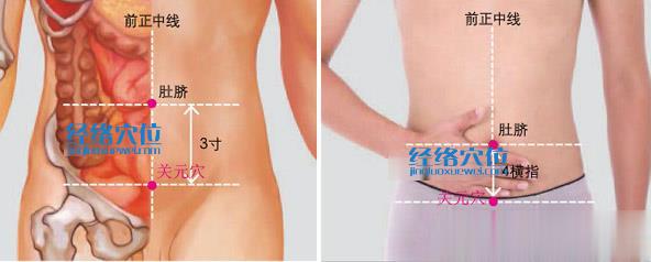 關(guān)元穴的準(zhǔn)確位置圖