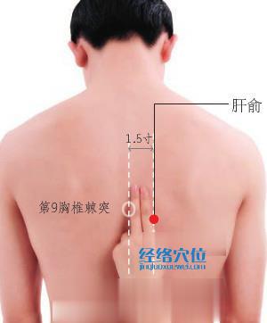 肝俞穴的準確位置圖