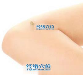 艾灸治療網(wǎng)球肘