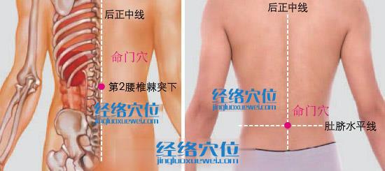 命門(mén)穴