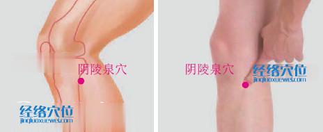 陰陵泉穴