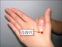 合谷穴位位置圖