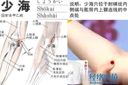 少海穴位位置圖