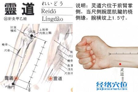 靈道穴位位置圖