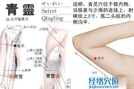 青靈穴位位置圖
