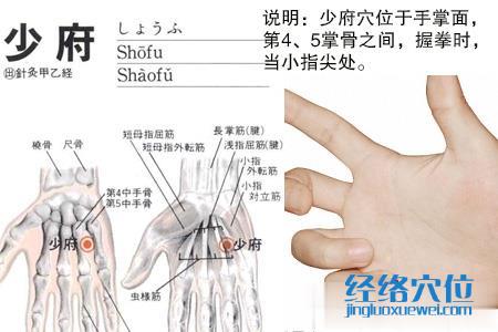 少府穴位位置圖