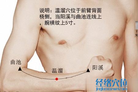 溫溜穴位位置圖