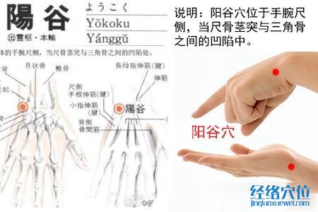 陽谷穴位位置圖