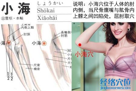 小海穴位位置圖