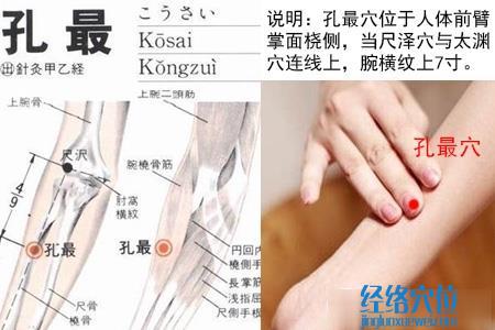 孔最穴位位置圖