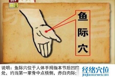 魚際穴位位置圖