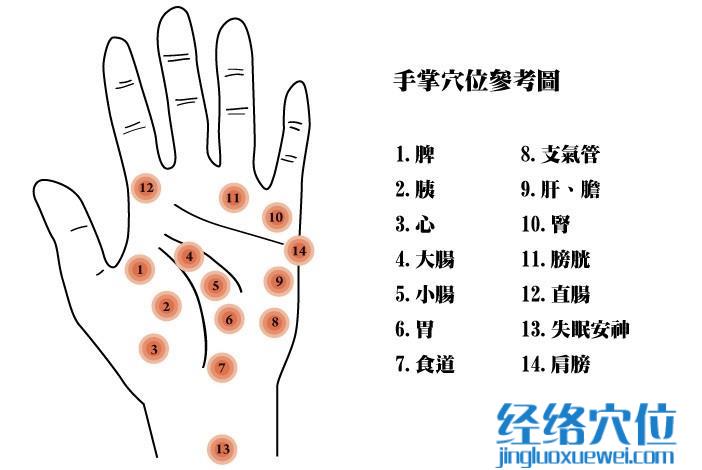手掌穴位圖