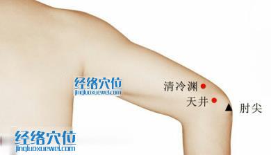 天井穴位位置圖