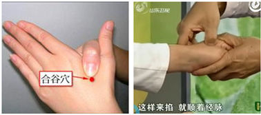 治療下牙齒疼痛的特效穴：合谷穴的位置