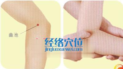 曲池穴位圖