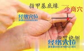 高清圖解少商穴位置圖