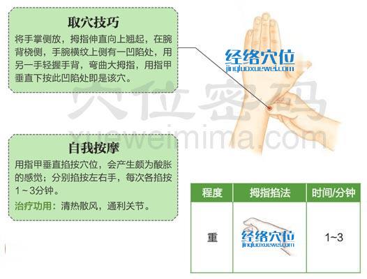 高清圖解陽溪穴的位置圖