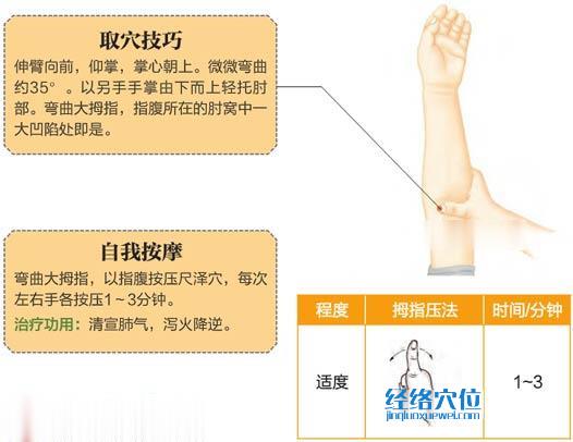 高清圖解尺澤穴