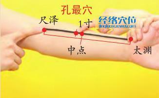 圖解孔最穴的位置圖