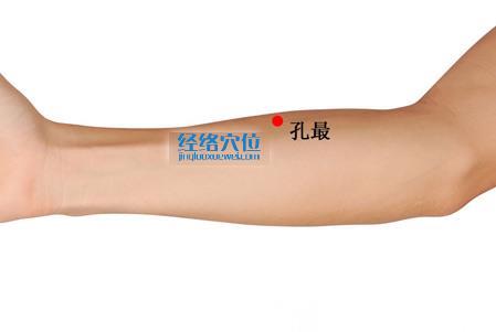 圖解孔最穴的位置