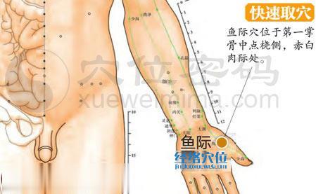 高清圖解魚際穴