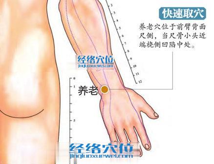 養(yǎng)老穴的準確位置圖