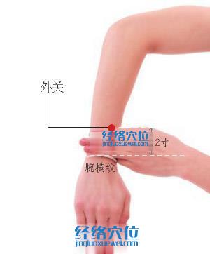 外關(guān)穴位位置圖
