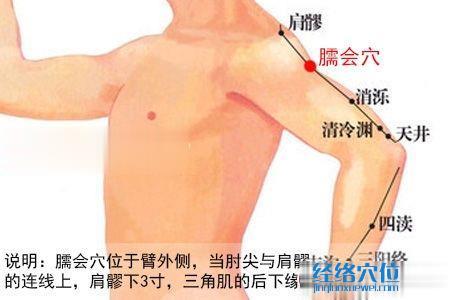 臑會穴位位置圖