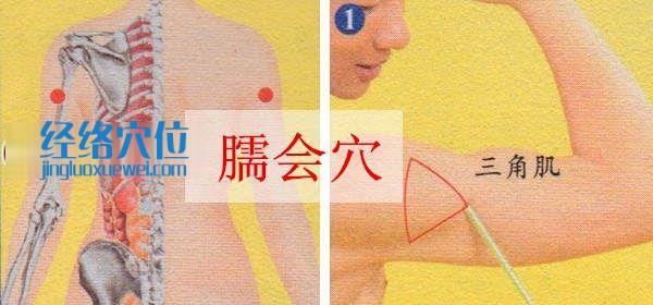 圖解臑會穴的位置及取穴方法