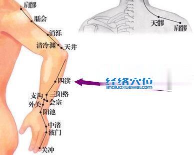四瀆穴位位置圖