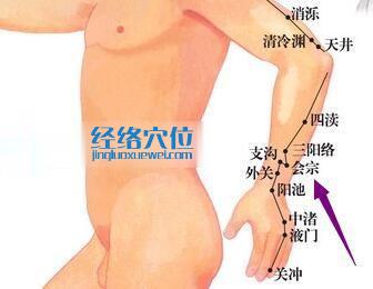 會(huì)宗穴位位置圖