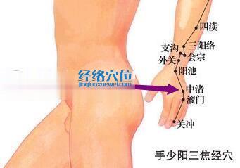 中渚穴位位置圖