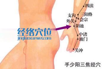 陽(yáng)池穴位位置圖