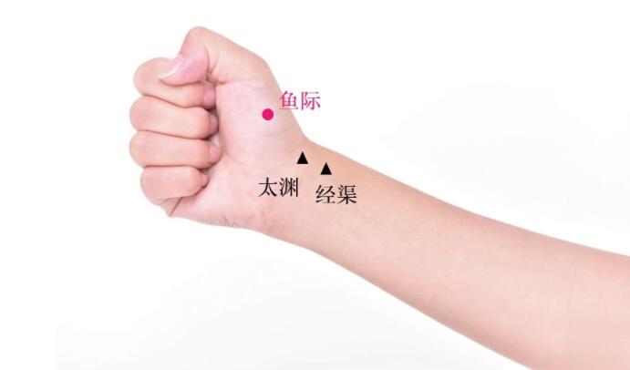 魚際的準(zhǔn)確位置圖及功效視頻位位置圖