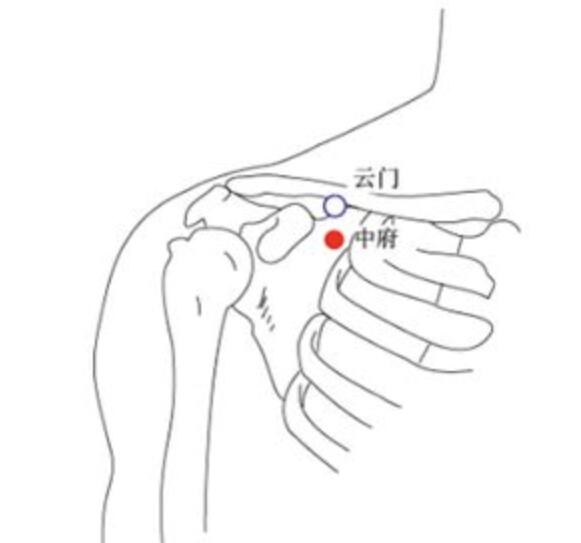 云門穴的準(zhǔn)確位置圖及功效視頻位位置圖