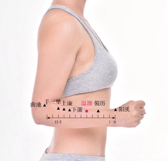 溫溜穴的準確位置圖及功效視頻位位置圖