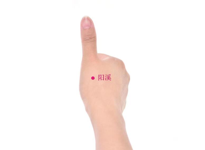 陽溪穴的準確位置圖及功效視頻位位置圖