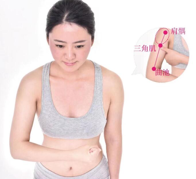 臂臑的準(zhǔn)確位置圖及視頻功效位位置圖