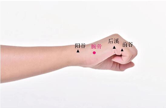 腕骨的準確位置圖及功效視頻位位置圖