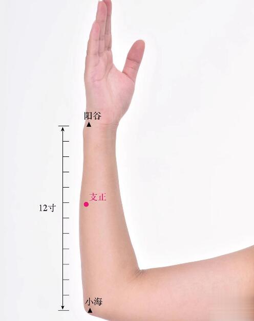 支正的準(zhǔn)確位置圖及功效視頻位位置圖