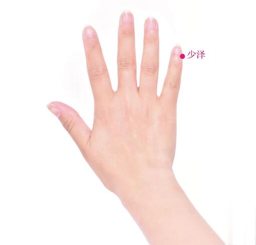 少澤的準(zhǔn)確位置圖及功效視頻位位置圖