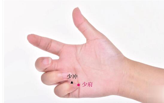 少府的準(zhǔn)確位置圖及功效視頻位位置圖