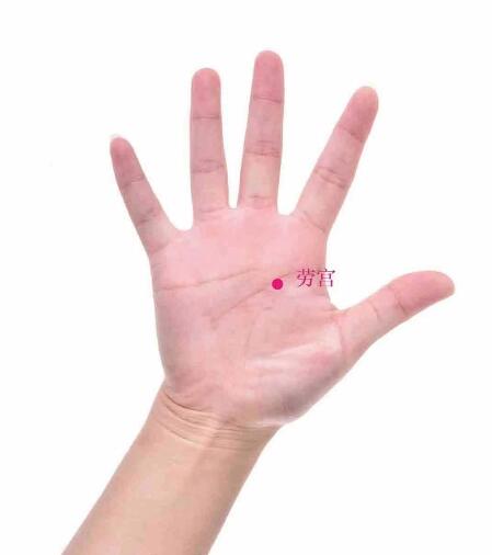 勞宮的準確位置圖及功效視頻位位置圖