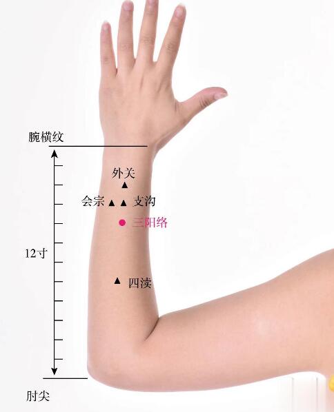 三陽絡(luò)的準(zhǔn)確位置圖及功效視頻位位置圖