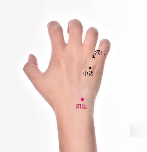 陽池的準確位置圖及功效視頻位位置圖