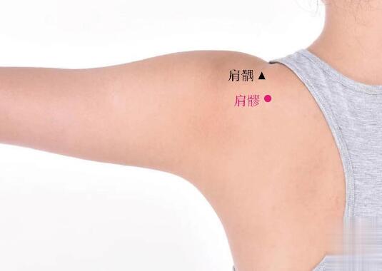 肩髎的準(zhǔn)確位置圖及功效視頻位位置圖