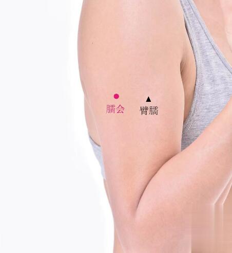 臑會(huì)的準(zhǔn)確位置圖及功效視頻位位置圖